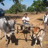 Sudarshan S