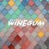 Studio Winegum