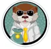 Finanzotter
