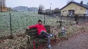 Денислав Димитров 