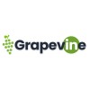 Grapevine: Your Virtual Office Platform