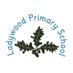 Ladywood Primary School